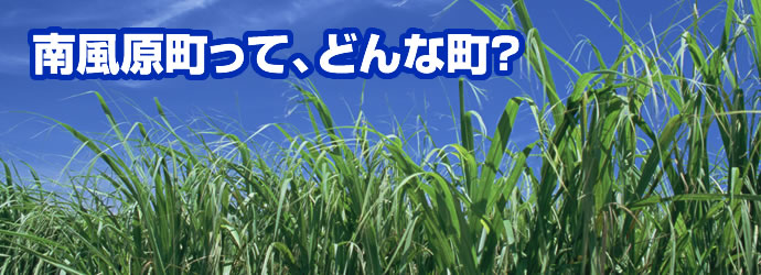南風原町て、どんな町?